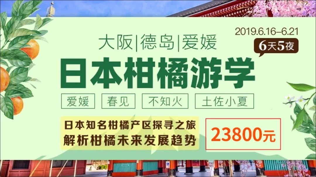 b748599ada6db592b46af89b5646a4d8
