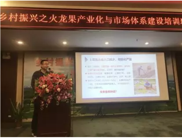 1579081371976162.png 火龙果5.png