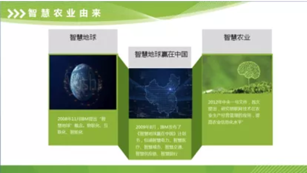 1579081384793144.png 火龙果6.png